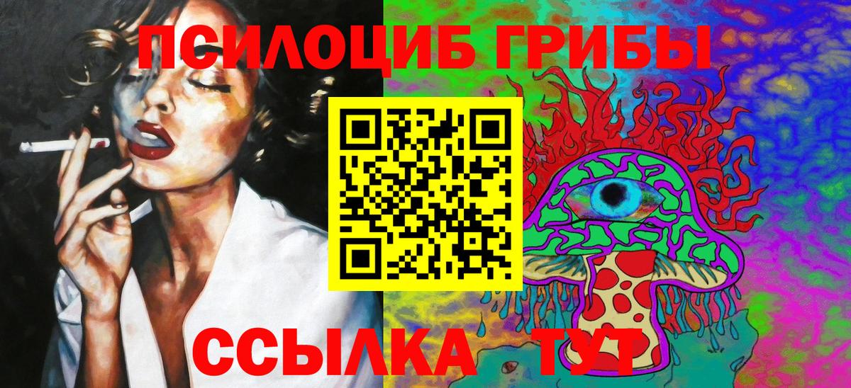 Псилоцибиновые грибы Cubensis  Вход с VPN  Искитим  Галлюциногенные грибы Cubensis 